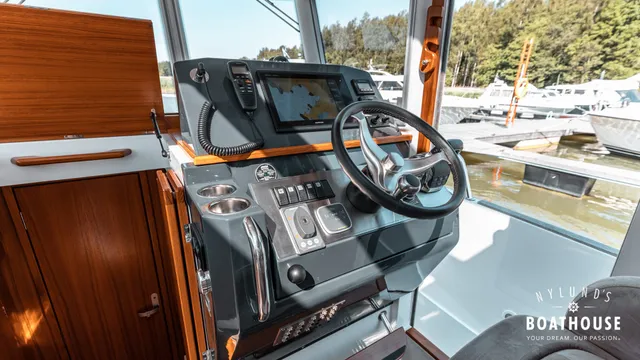 Sargo 31
