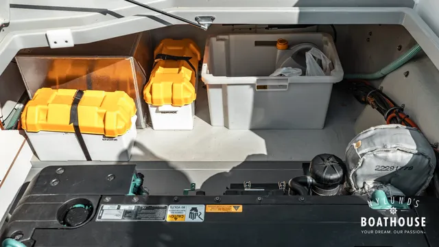 Sargo 31
