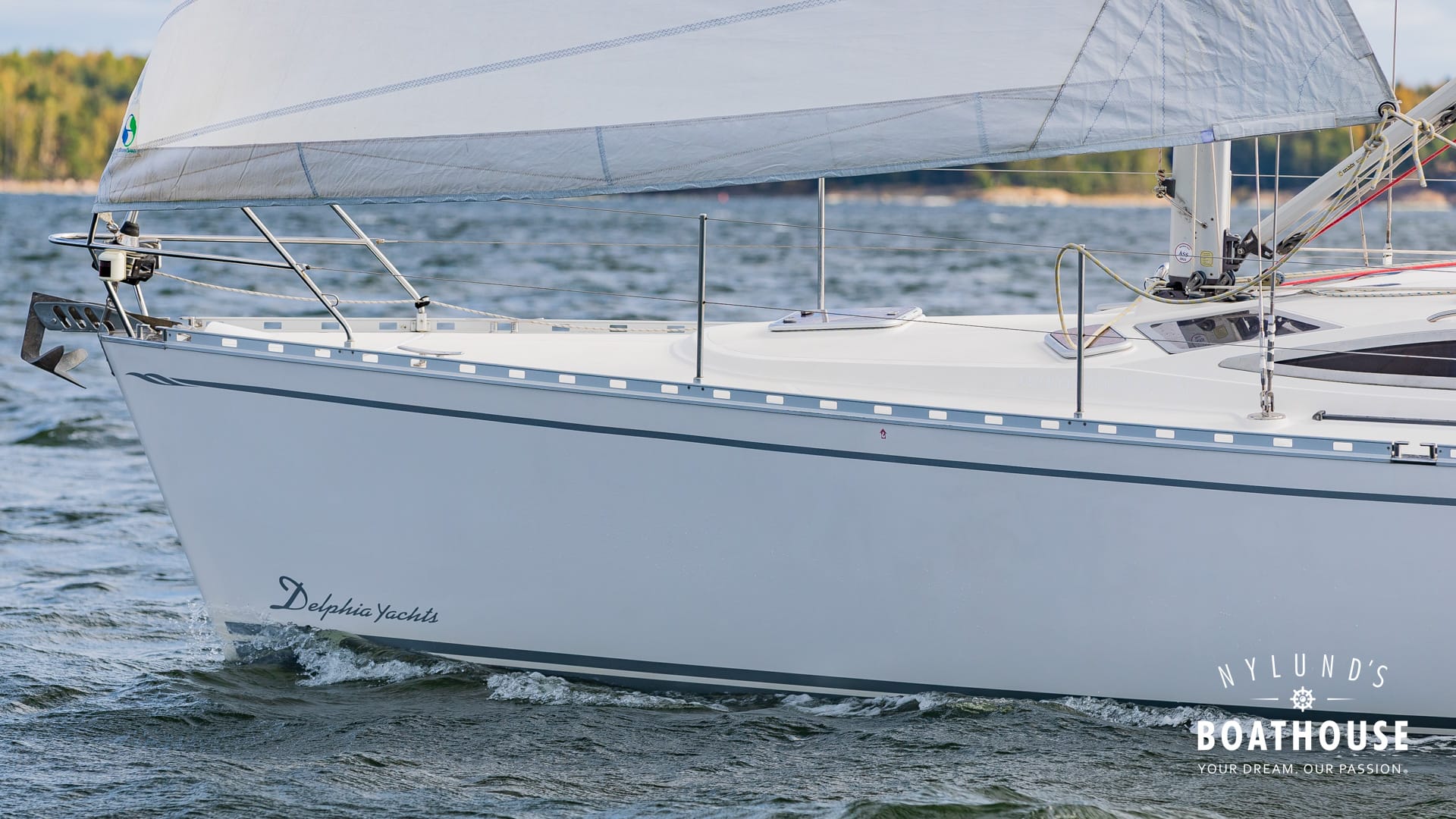 Delphia D37 - Image 19