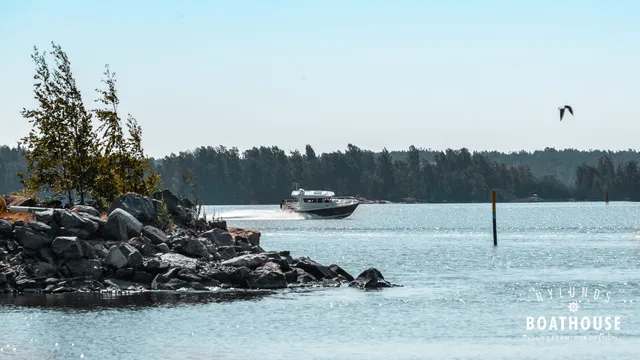 Sargo 31