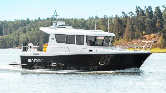 Sargo 31