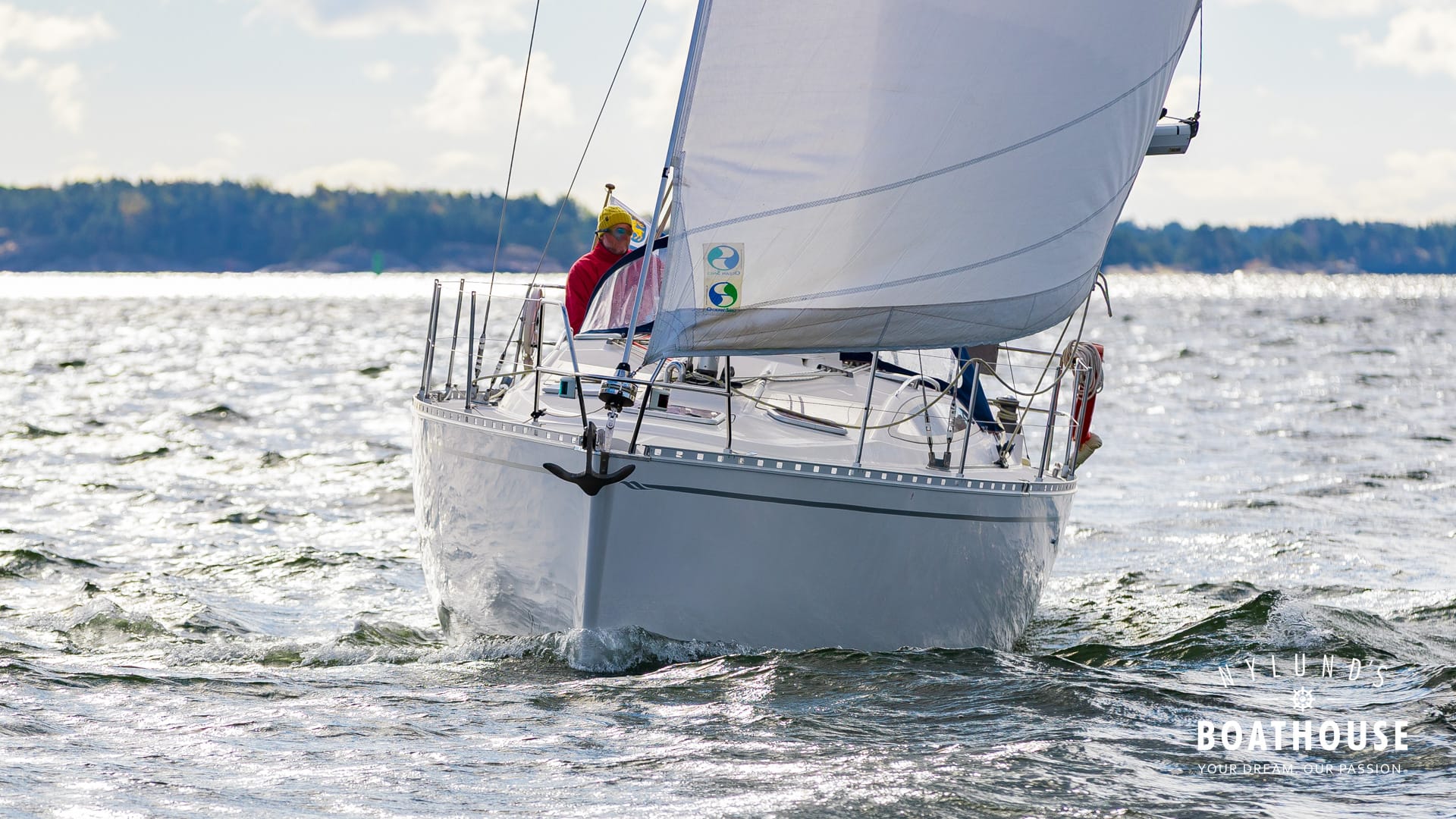 Delphia D37 - Image 36