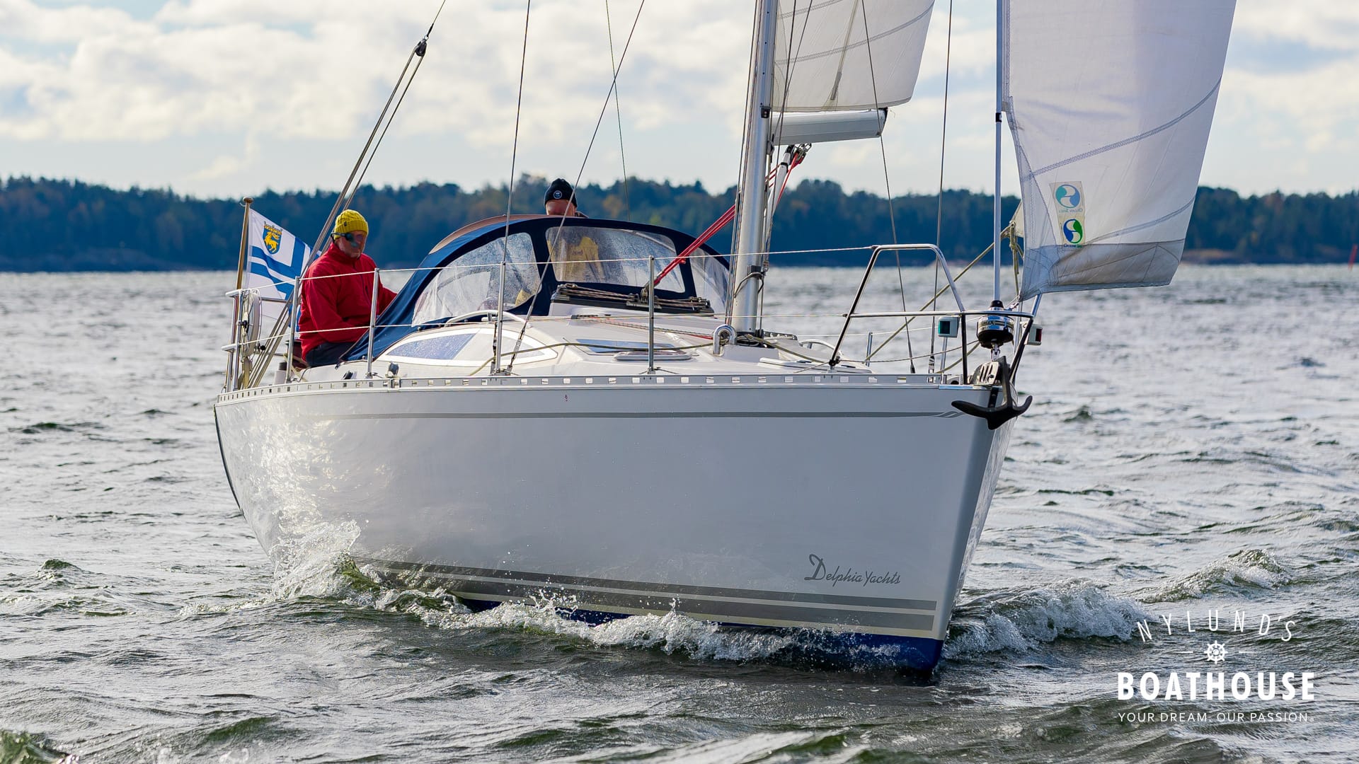 Delphia D37 - Image 21