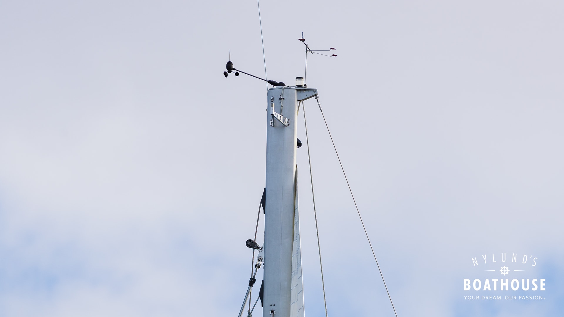 Delphia D37 - Image 6