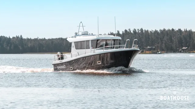 Sargo 31