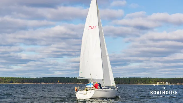 Delphia  D37