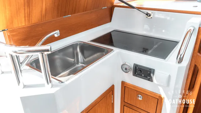 Sargo 31