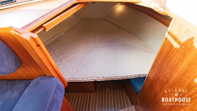 Marino Shark 29