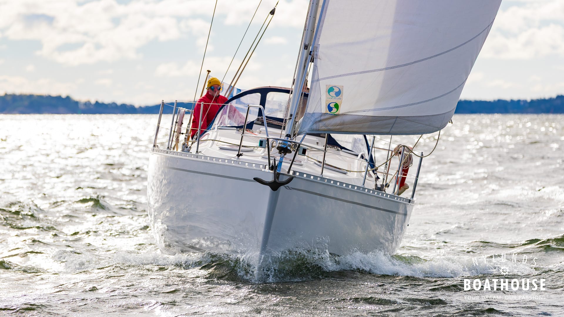 Delphia D37 - Image 37