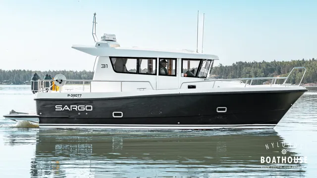 Sargo 31