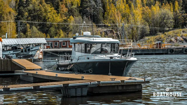 Sargo 31
