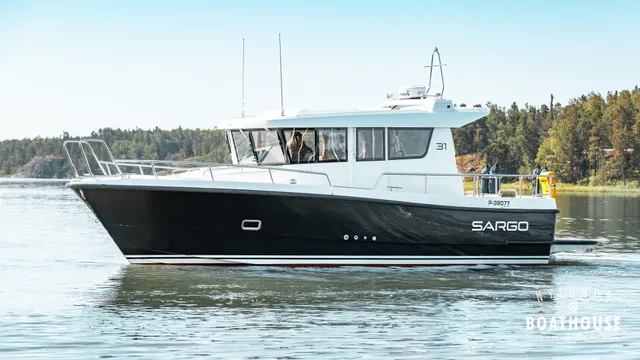 Sargo 31