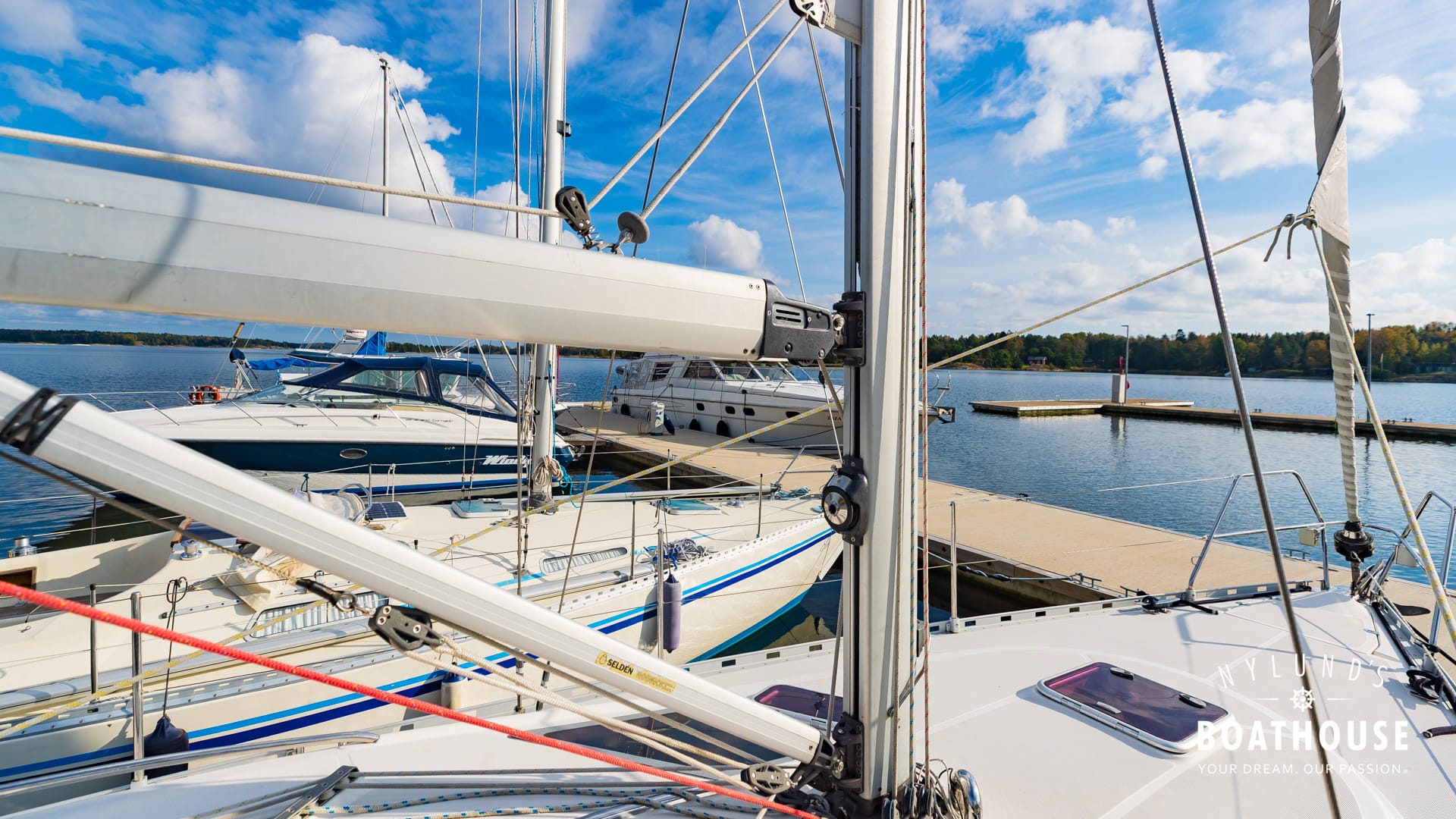 Delphia D37 - Image 117