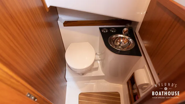 Sargo 31