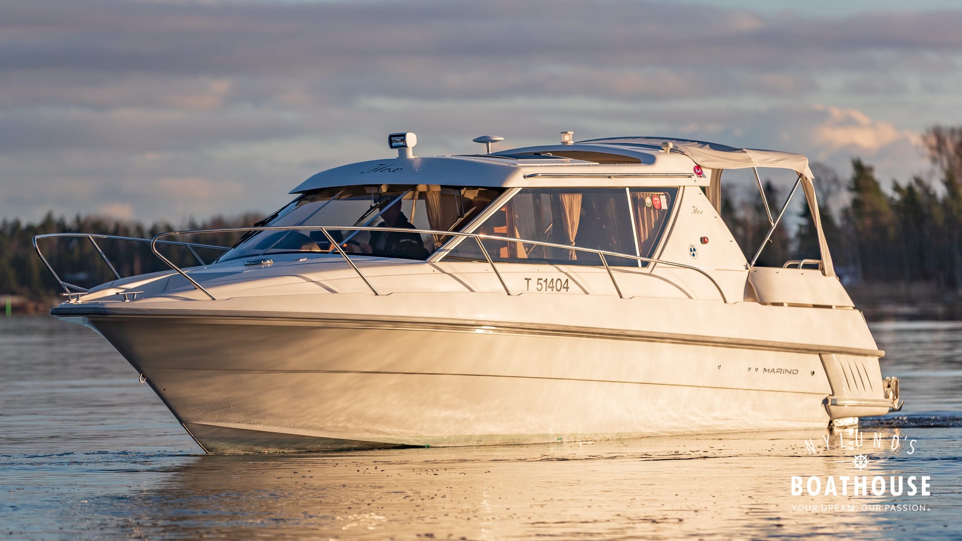 Marino Shark 29 - Image 31