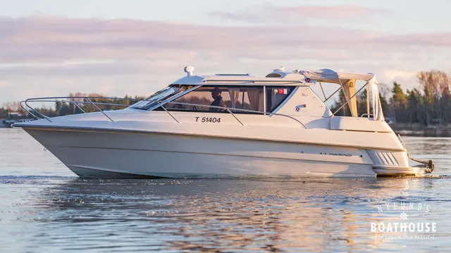 Marino Shark 29