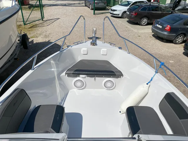 Silver 650 Eagle