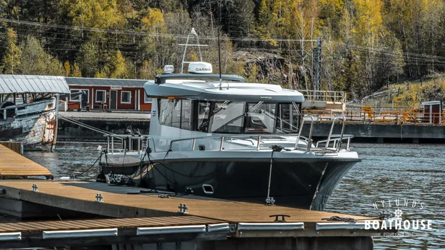 Sargo 31