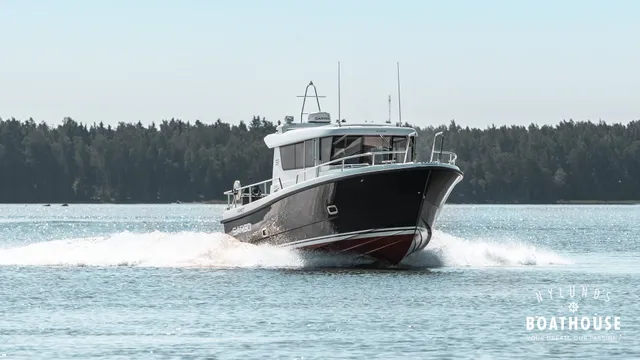 Sargo 31