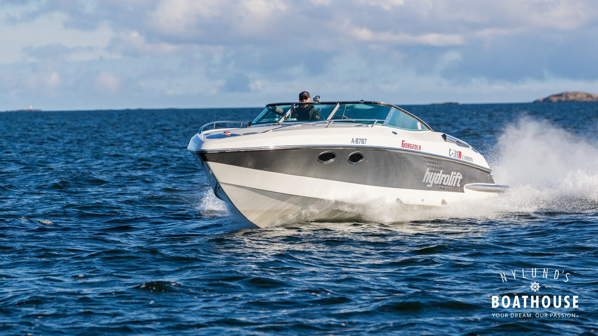 Hydrolift C-31 R Carbon - Image 2