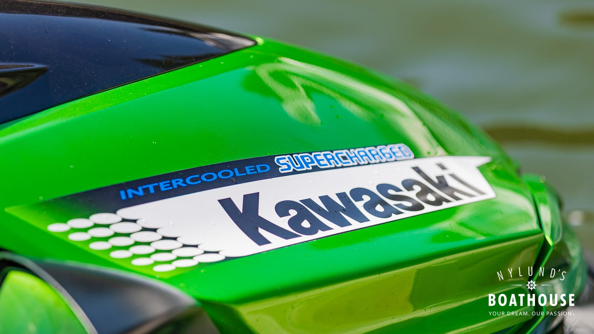 Kawasaki Ultra 300 X - Image 19