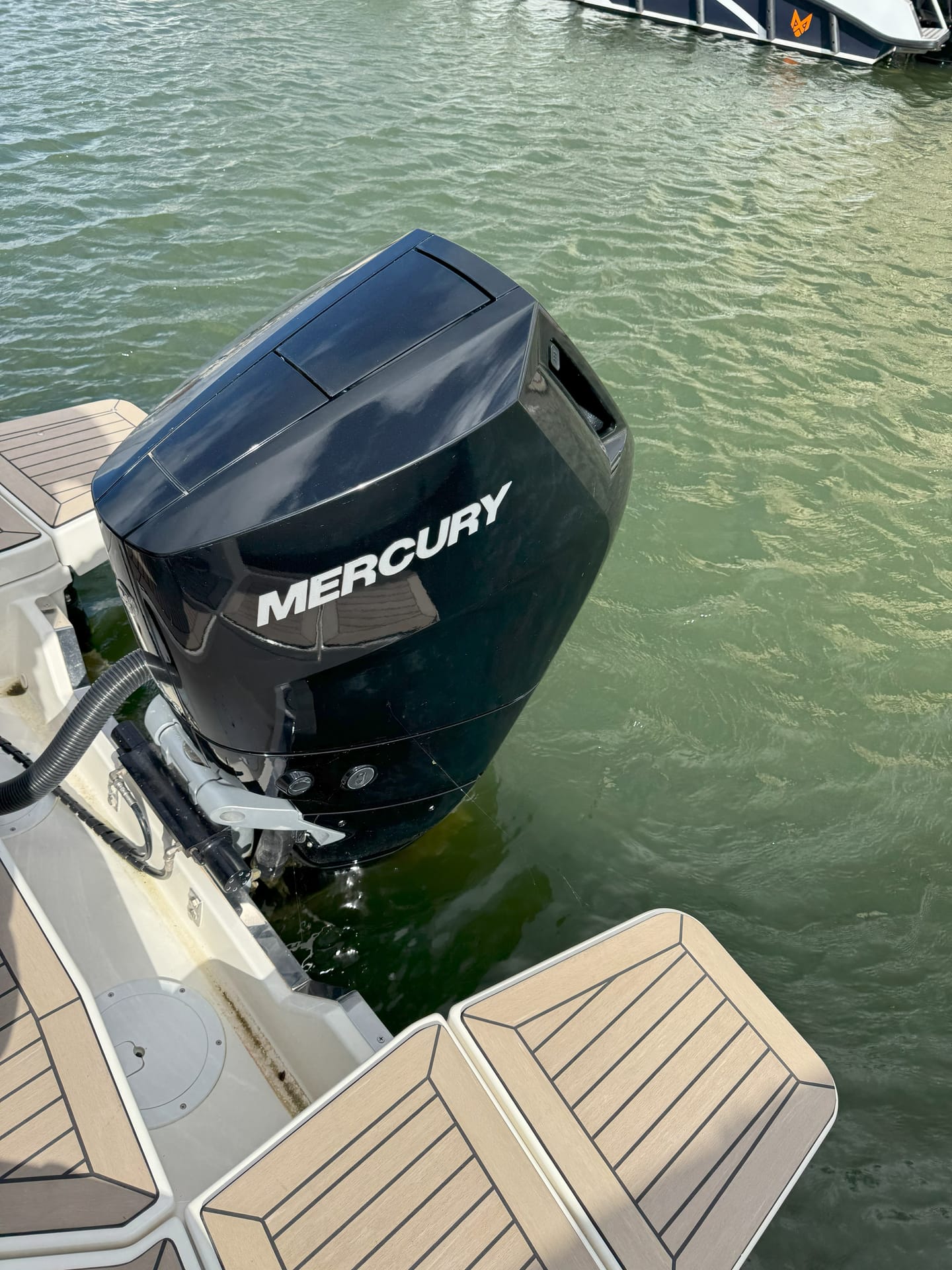 Quicksilver Activ 805 cruiser - Image 3