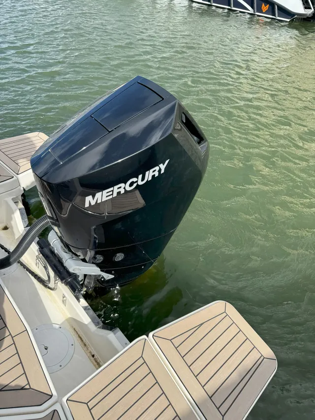 Quicksilver Activ 805 cruiser