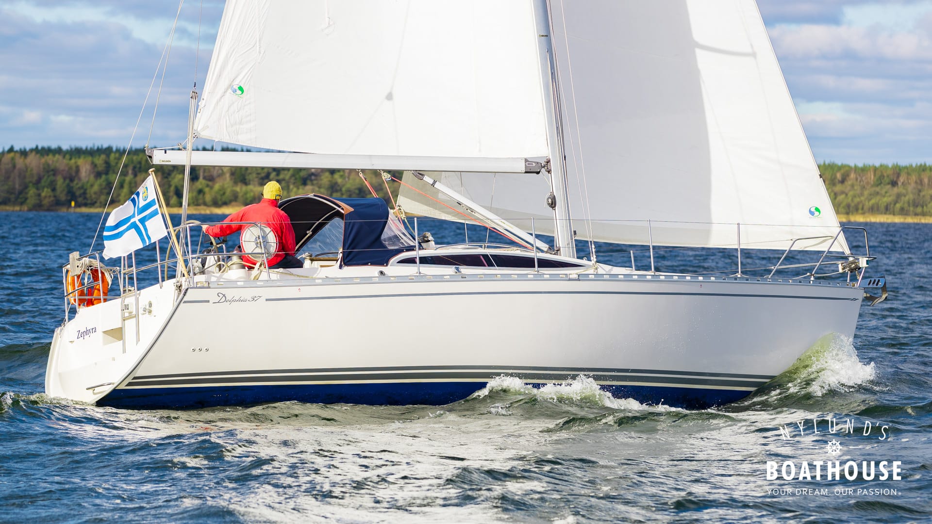 Delphia D37 - Image 8