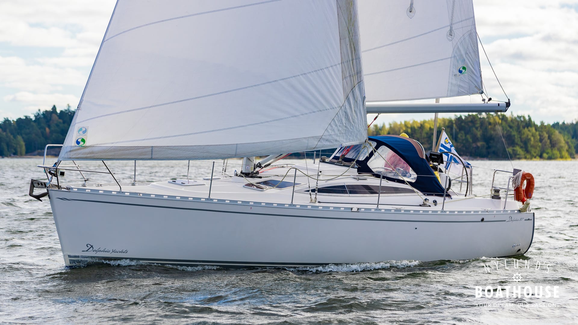 Delphia  D37