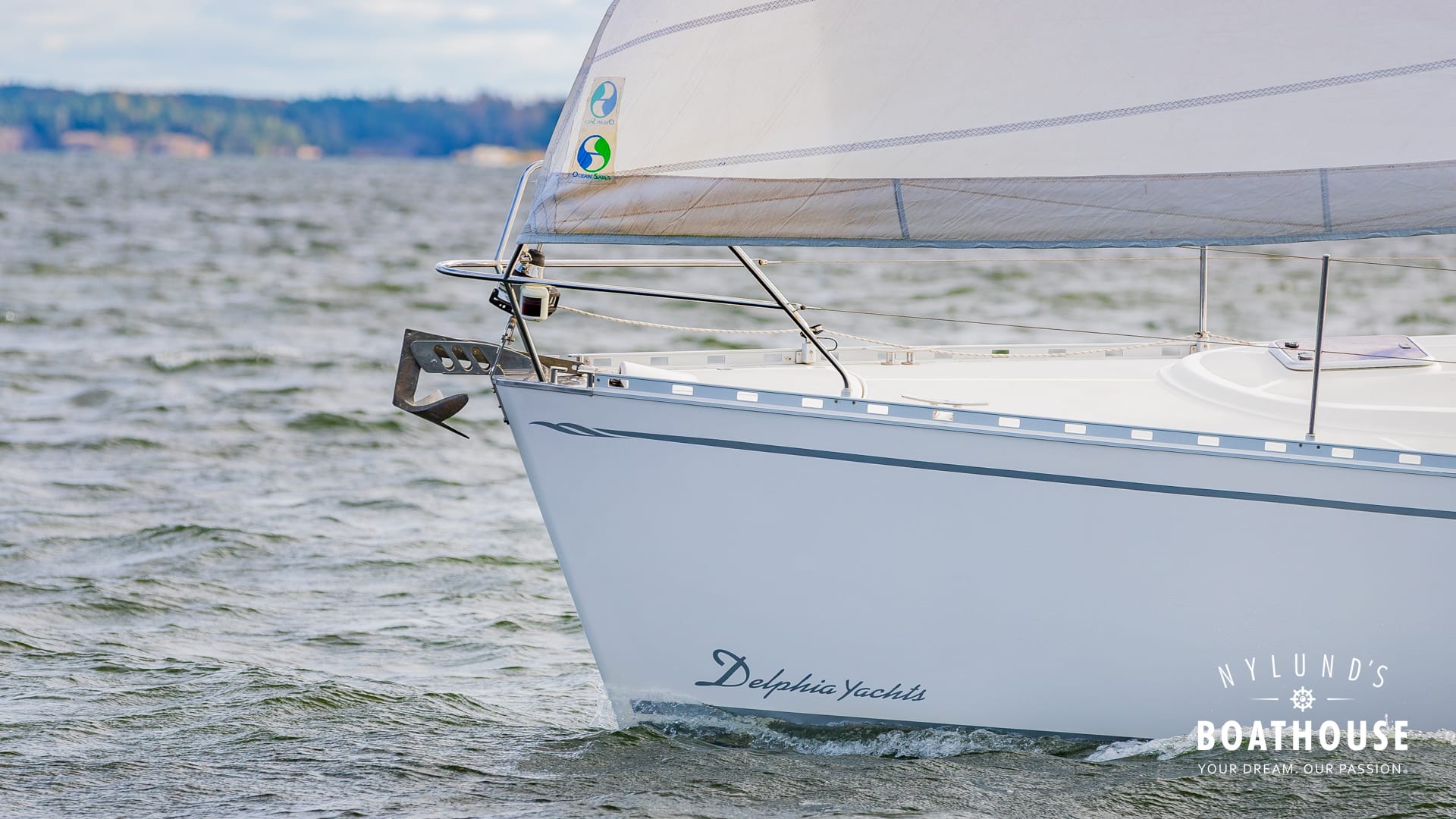 Delphia D37 - Image 38