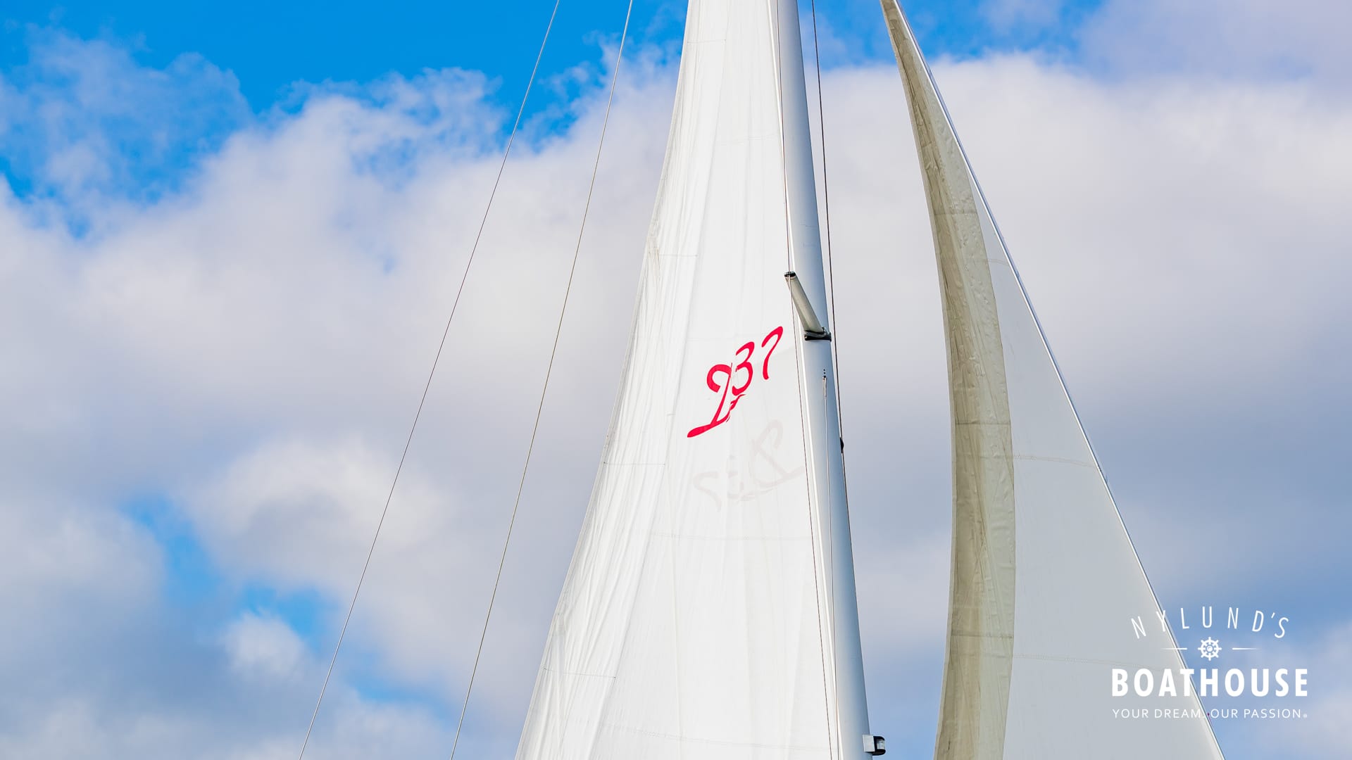 Delphia D37 - Image 53