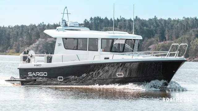Sargo 31