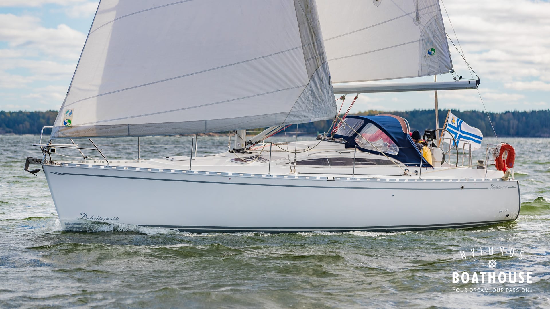 Delphia D37 - Image 12
