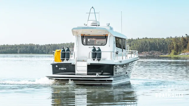 Sargo 31