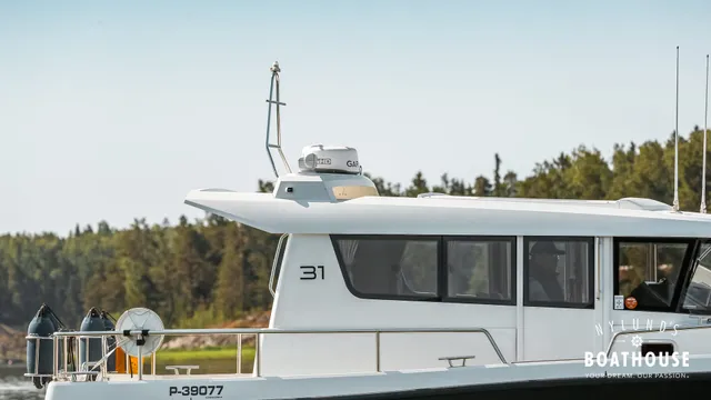 Sargo 31