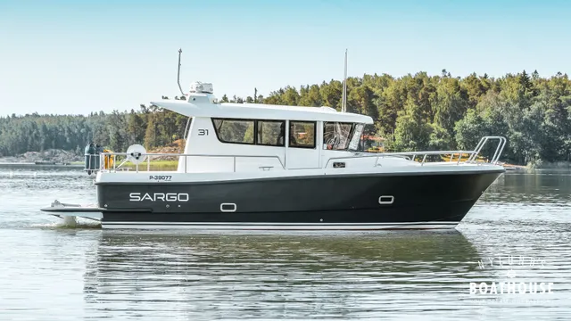 Sargo 31
