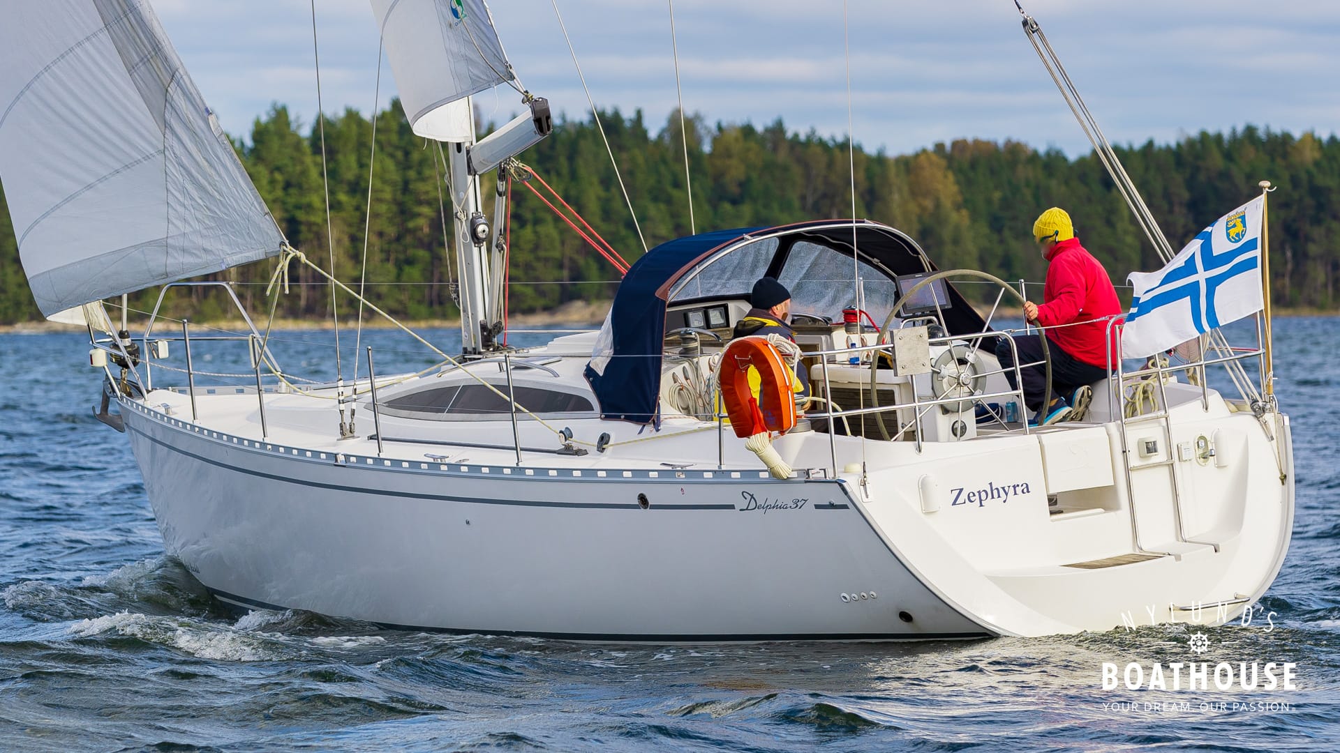 Delphia D37 - Image 33