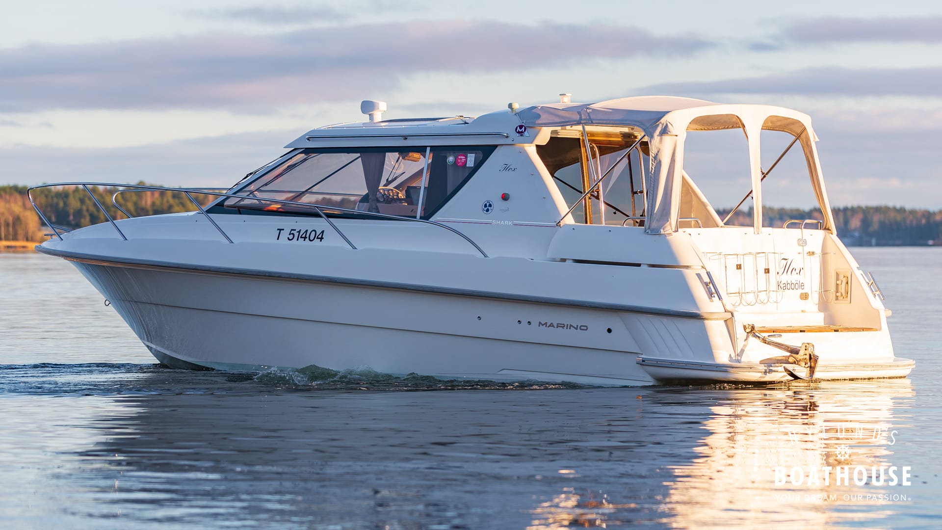 Marino Shark 29 - Image 30