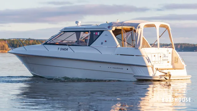 Marino Shark 29