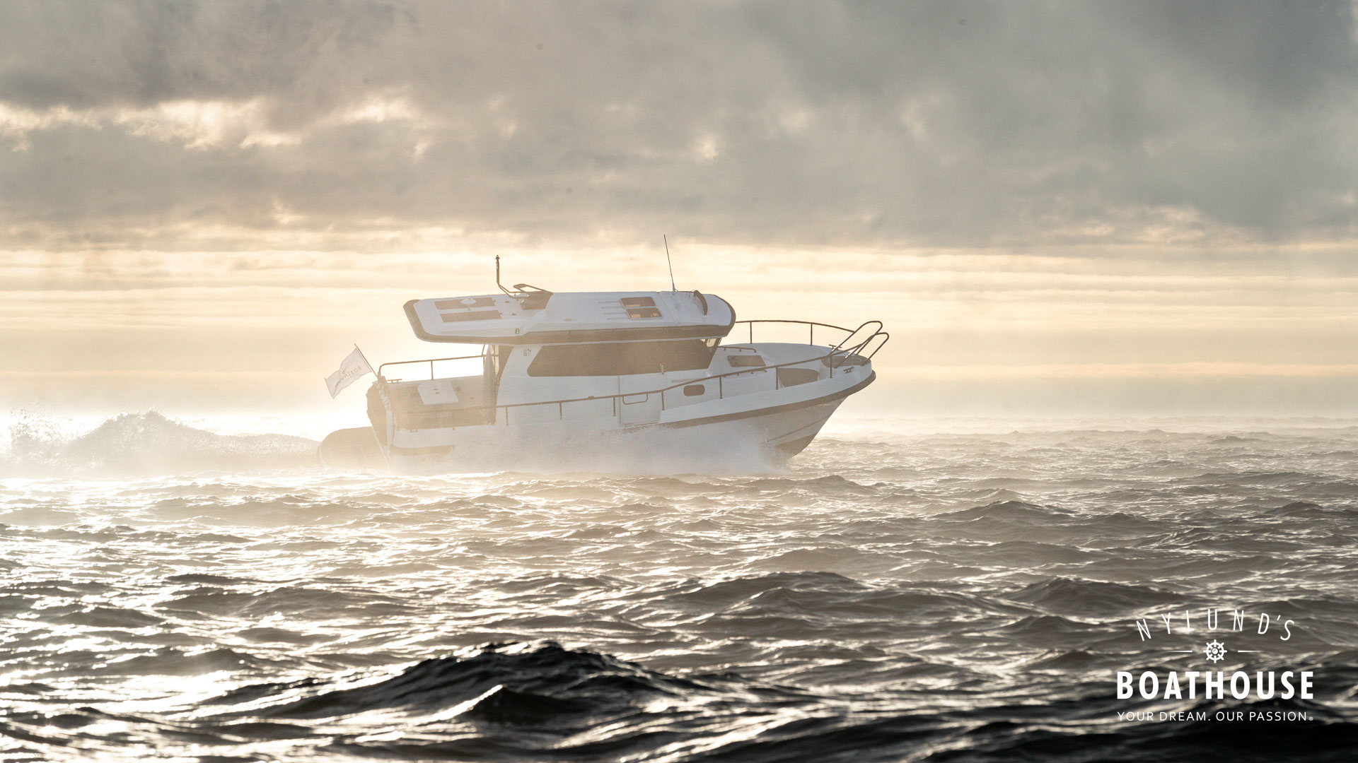 Nord Star 31+ - Image 8
