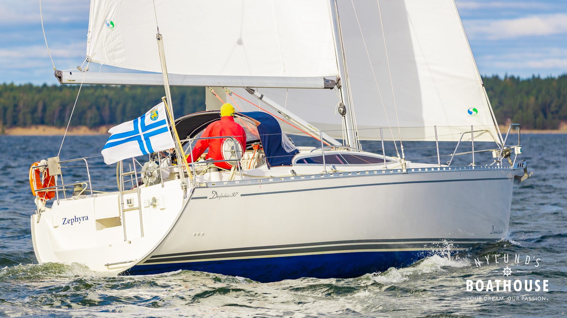 Delphia D37 - Image 25