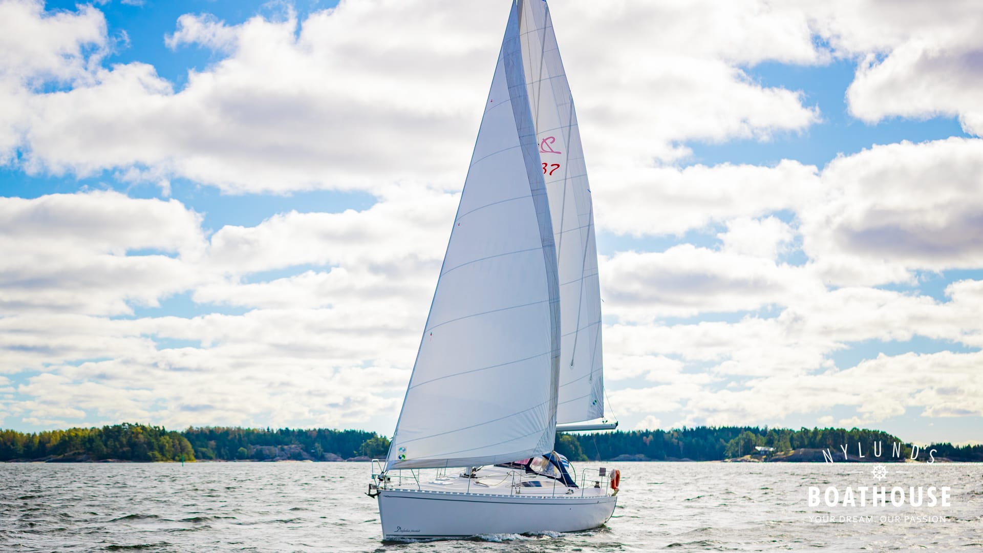 Delphia D37 - Image 14