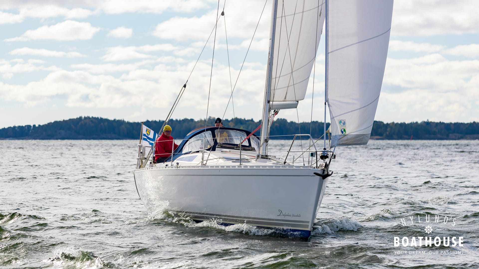 Delphia D37 - Image 18