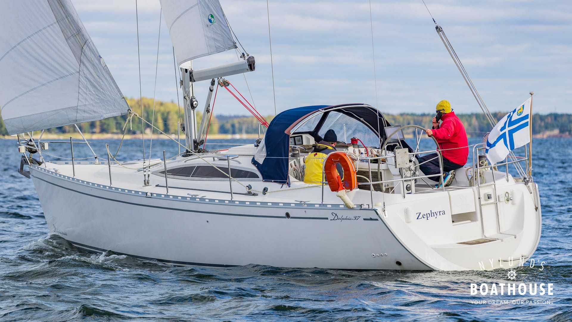 Delphia D37 - Image 5