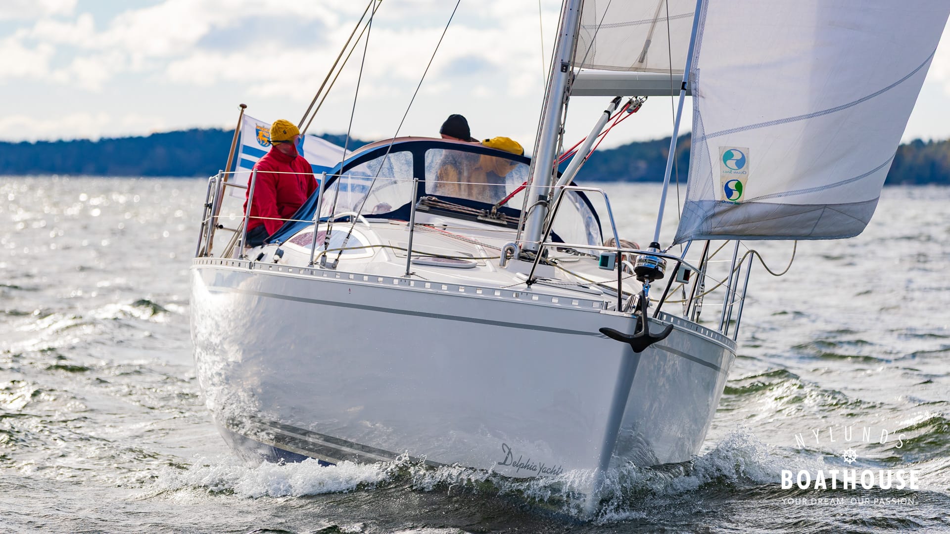 Delphia D37 - Image 31