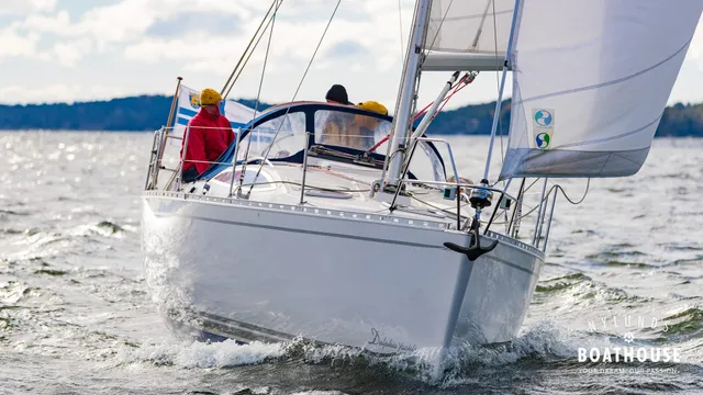 Delphia  D37
