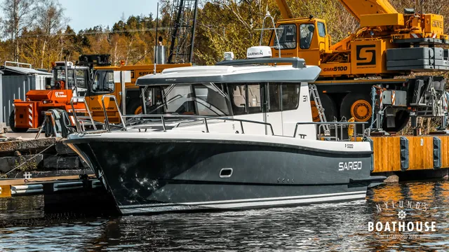 Sargo 31