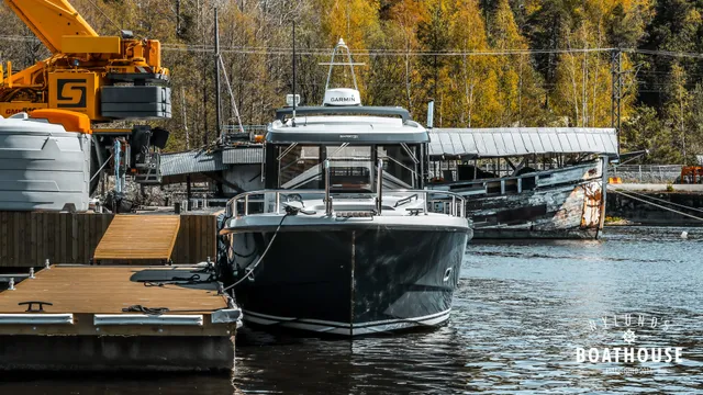 Sargo 31