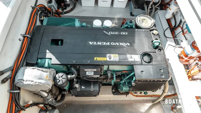 Sargo 31