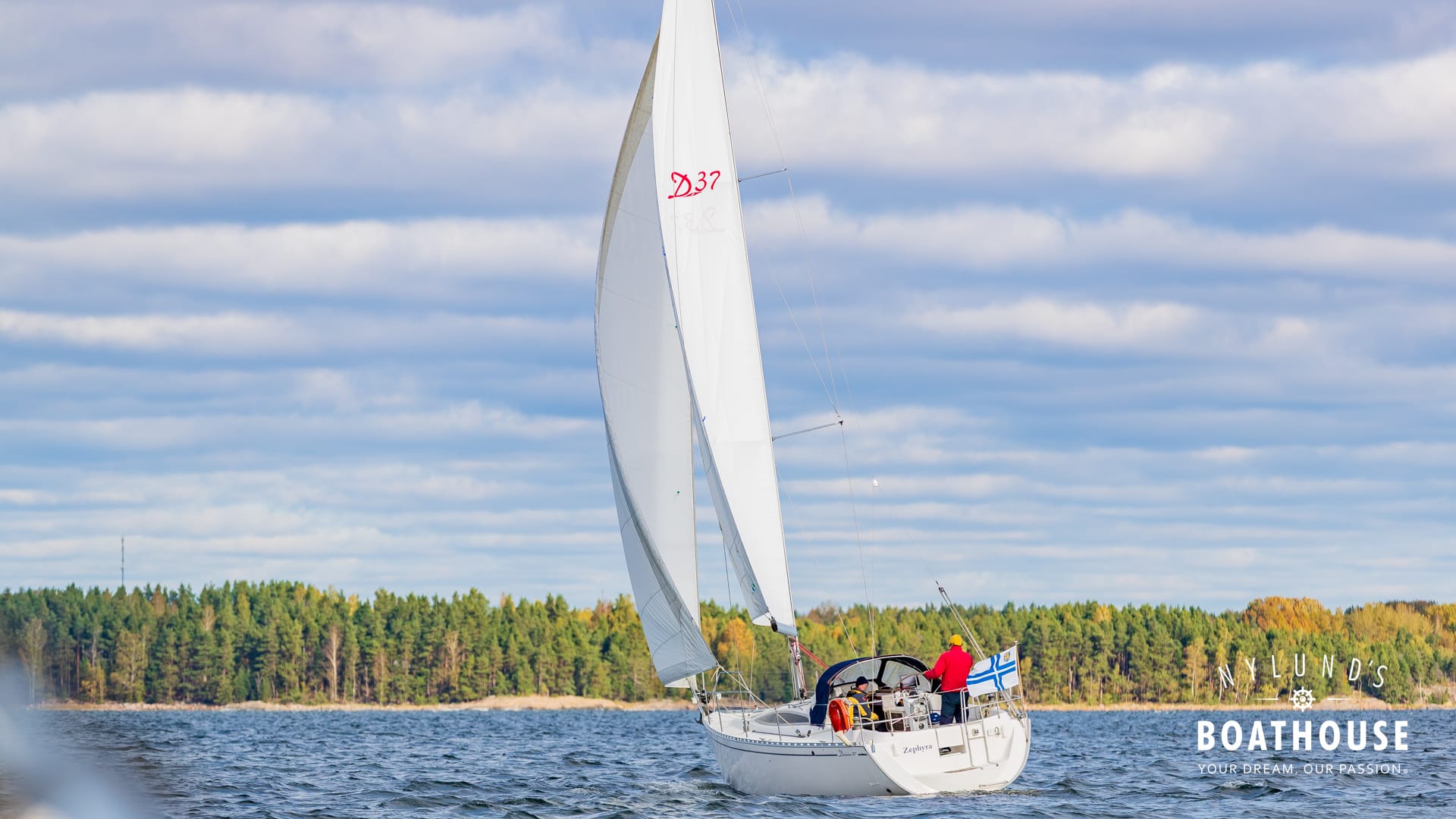Delphia D37 - Image 4